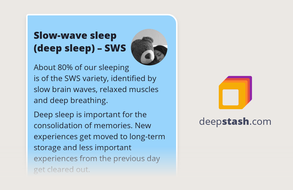 Understanding the Stages of Slow-Wave Sleep