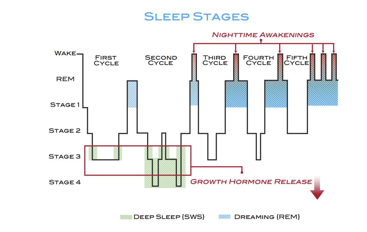 REM Sleep: What It Is and Why It's Important