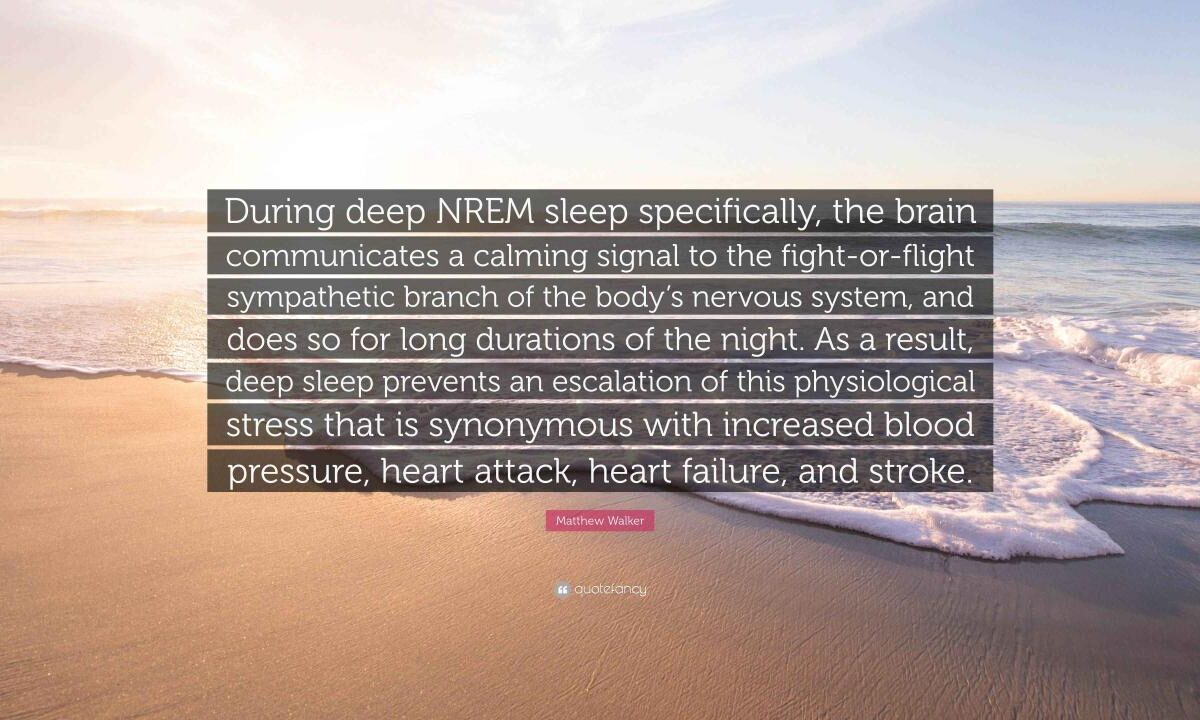 Deep NREM Sleep and Its Vital Impact on Health