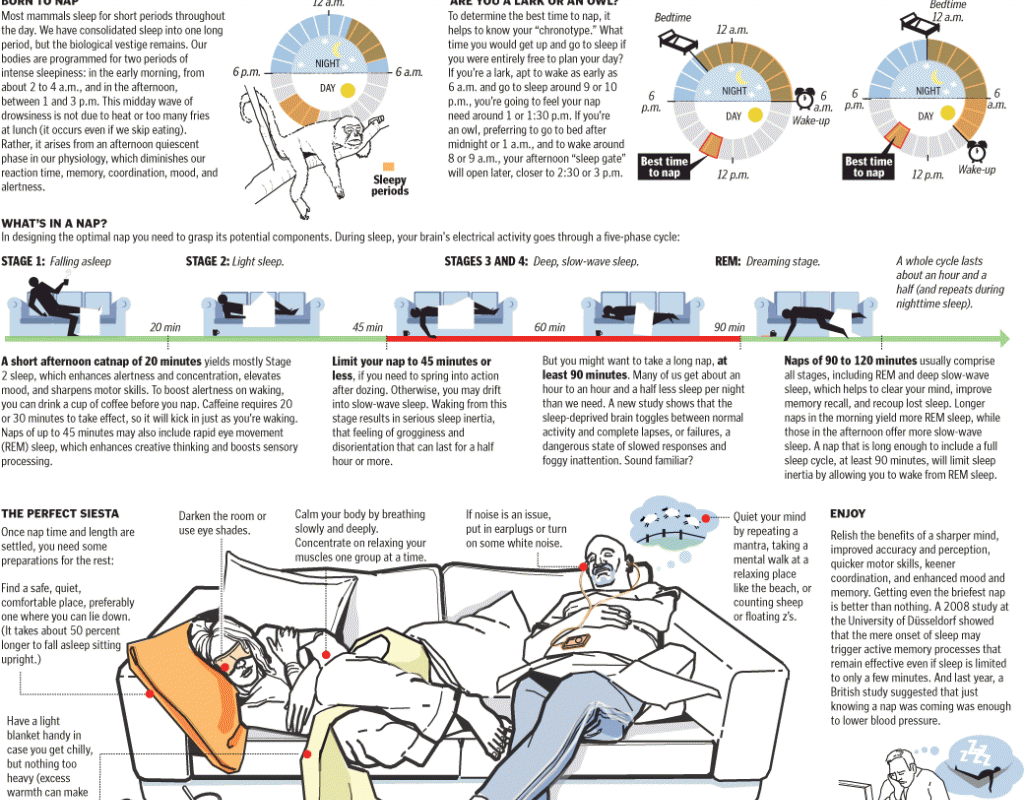 Napping habits Unveiling the Art of Restful Breaks