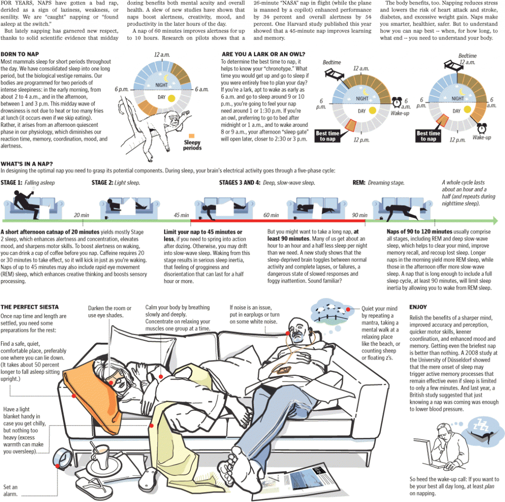 Napping habits Unveiling the Art of Restful Breaks