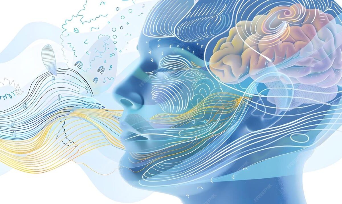 REM cycle Understanding Its Role and Importance
