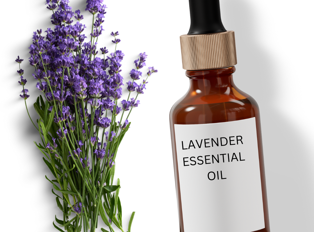 Lavender Oil