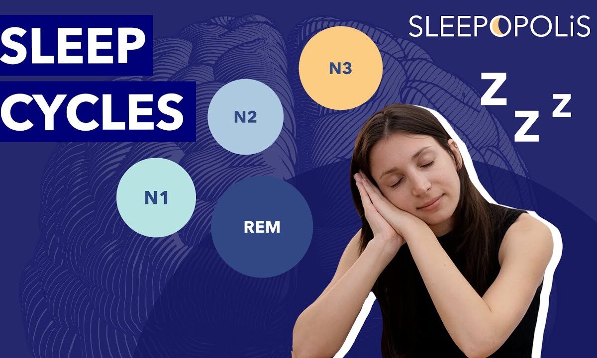 Sleep Cycles